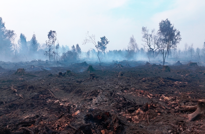 Incendie dans les Hautes Fagnes : restez informés