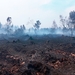 Incendie dans les Hautes Fagnes : restez informés